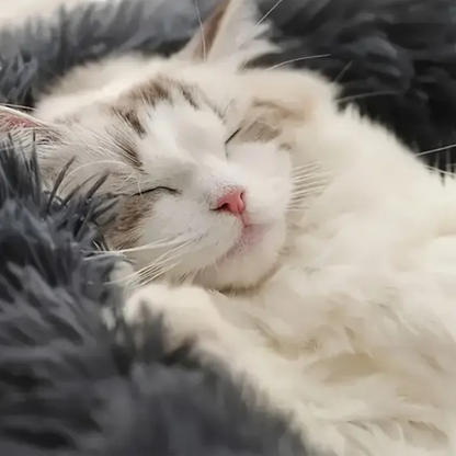 Soft Black Elegant Basket - sofcate